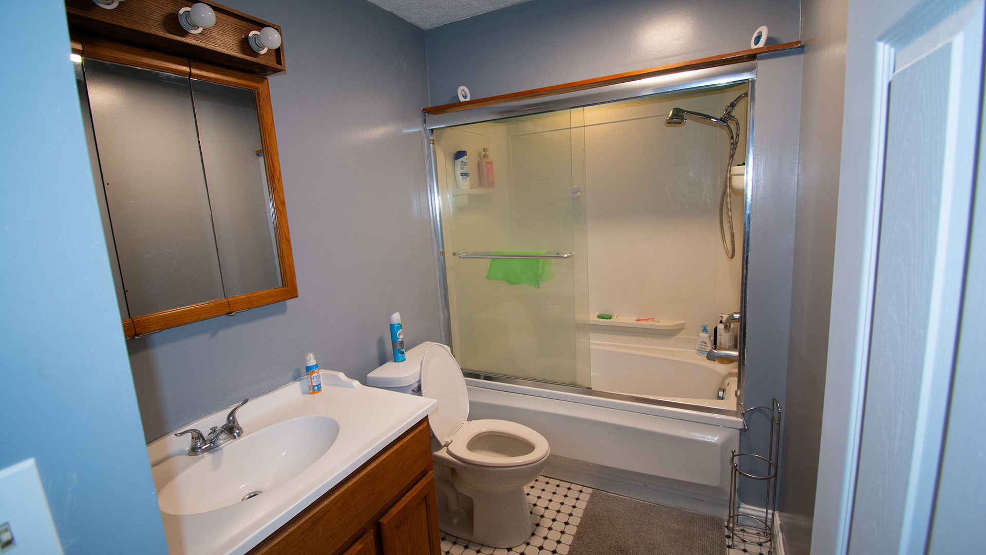 216 Brierhill Drive, Round Lake Park, IL 60073