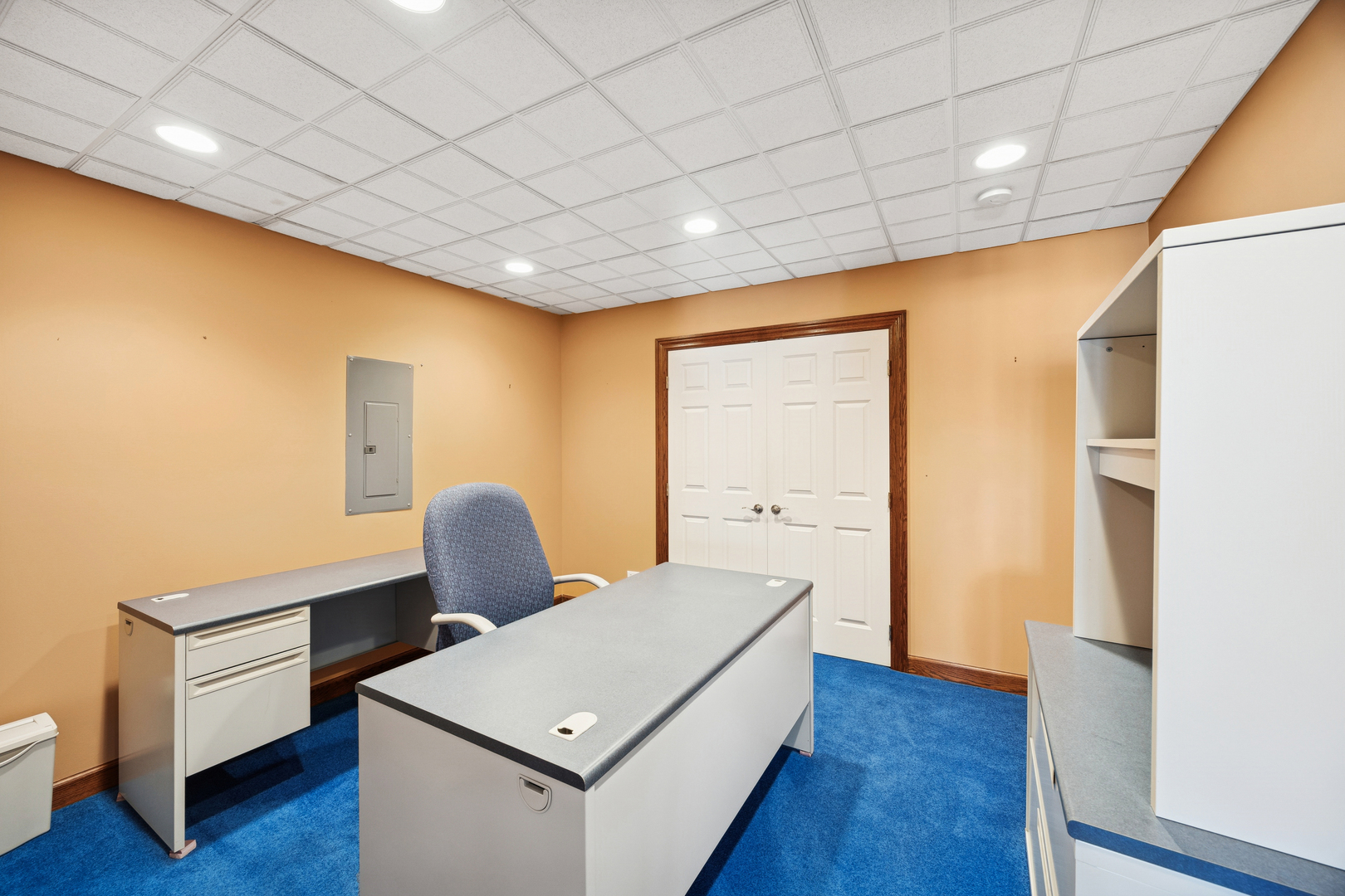 13773 Steeples Road, Lemont, IL 60439