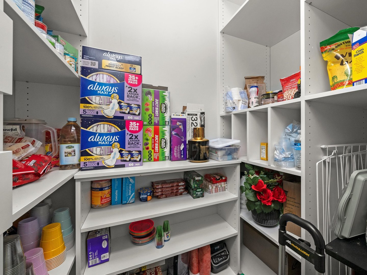 1336 N Hamlin Avenue, Chicago, IL 60651