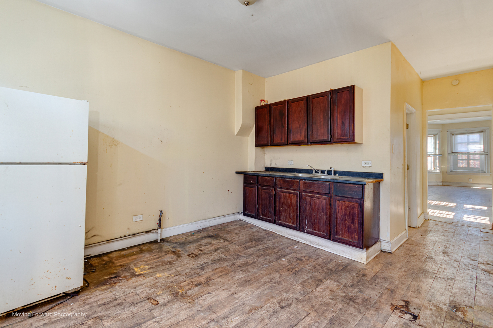 6617 S Vernon Avenue, Chicago, IL 60637