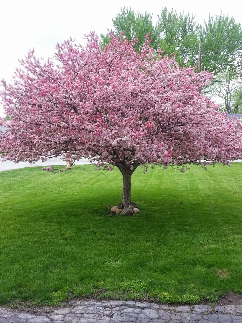 100 E Willow Street, Fairbury, IL 61739