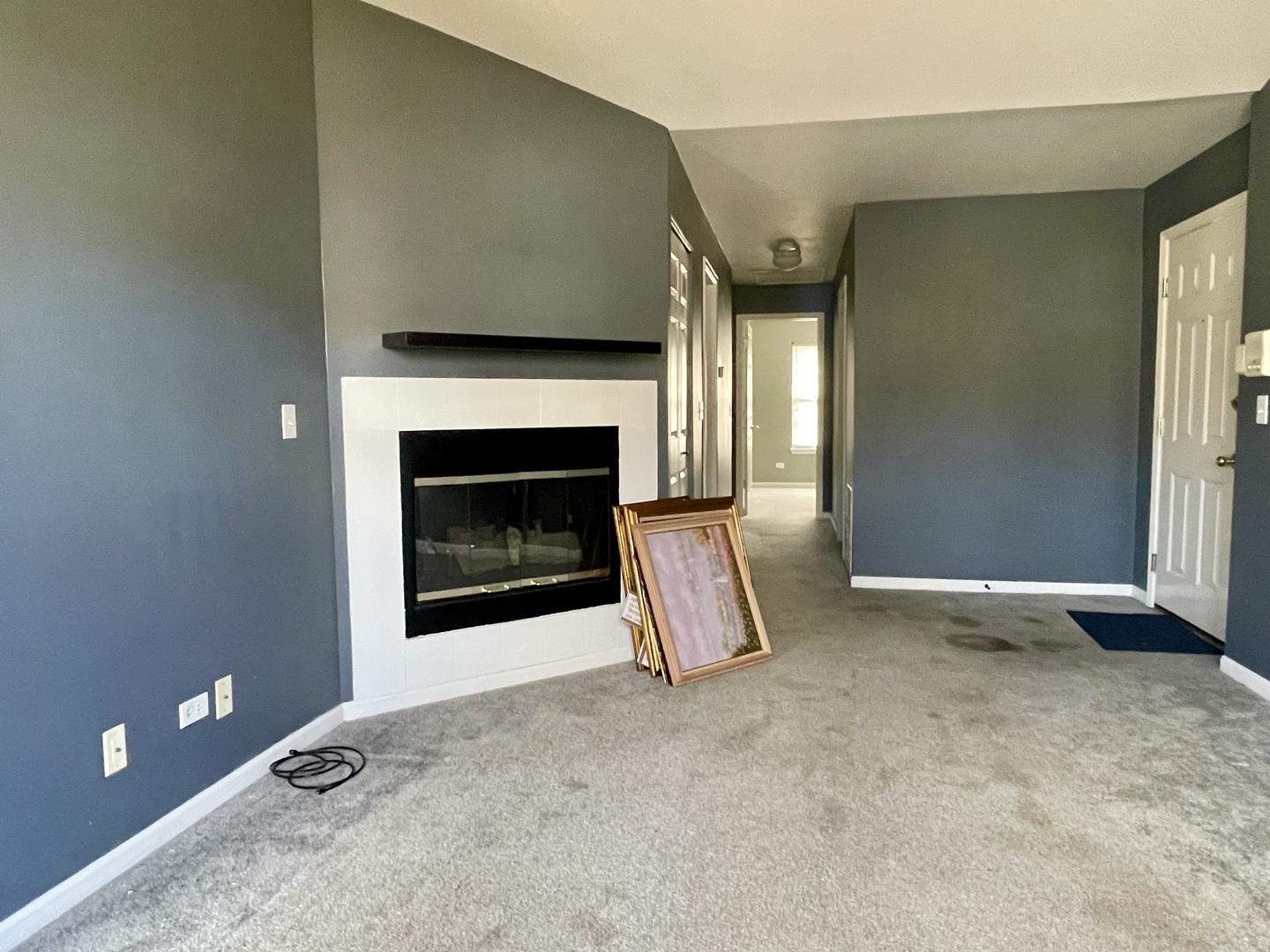 1179 N VILLAGE Drive #3, Round Lake Beach, IL 60073