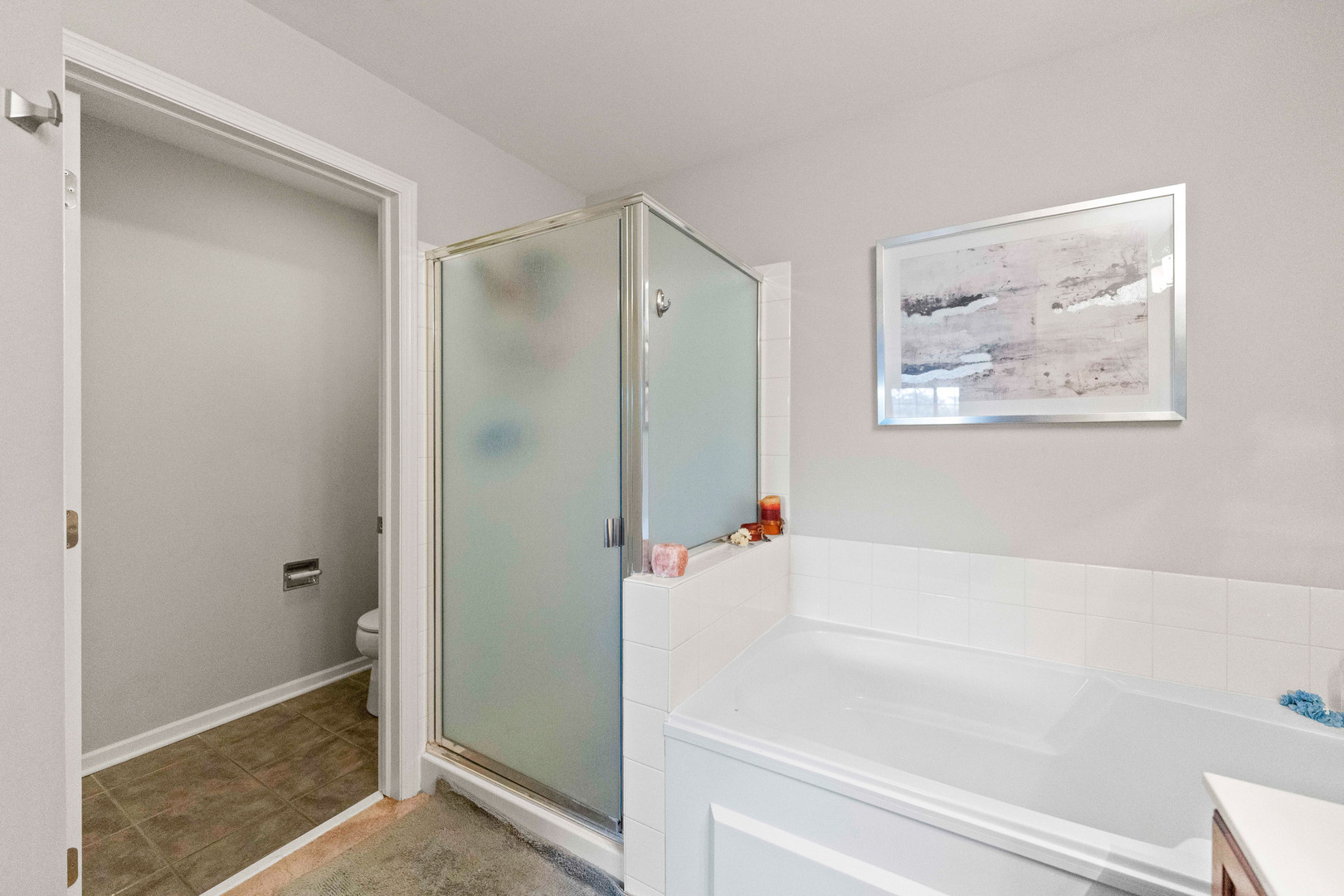 32802 Fowler Circle, Warrenville, IL 60555