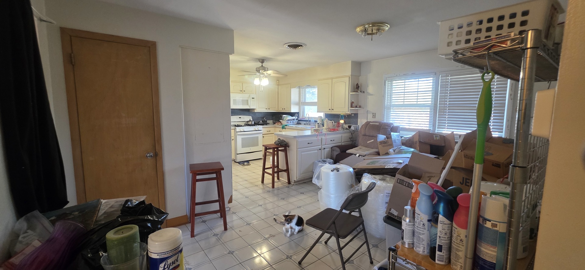 523 8th Street, Chicago Heights, IL 60411