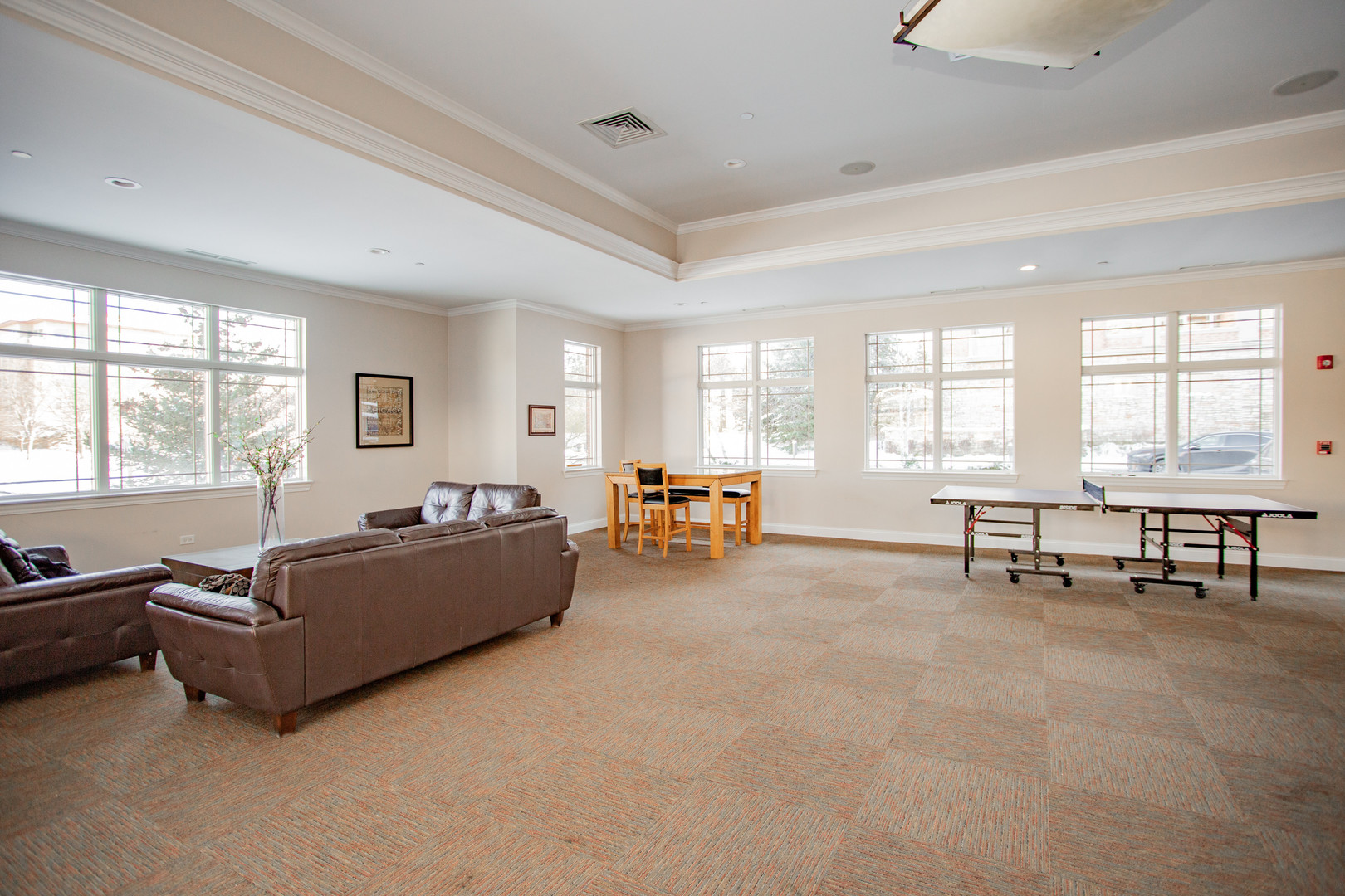 40 Prairie Park Drive #707, Wheeling, IL 60090