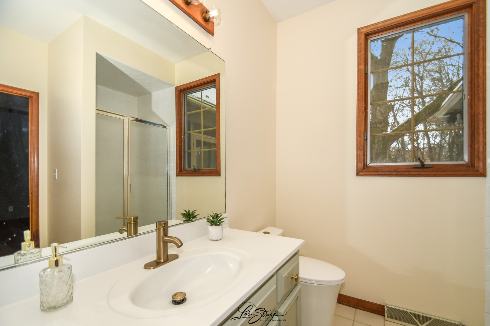 55 OAK CREEK Drive, Yorkville, IL 60560