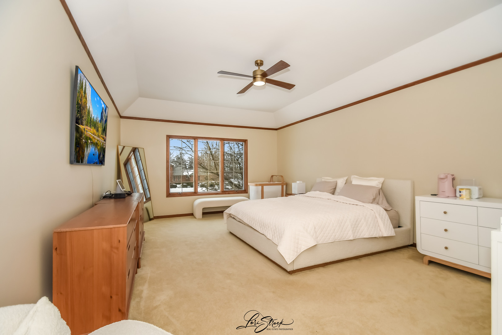 55 OAK CREEK Drive, Yorkville, IL 60560