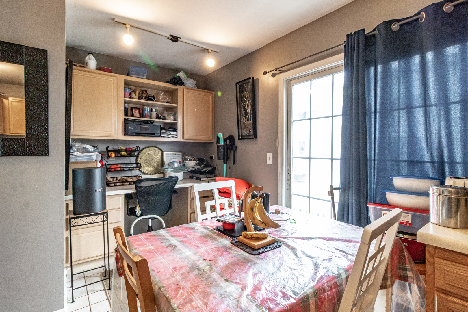 163 HOLIDAY Lane, Hainesville, IL 60073