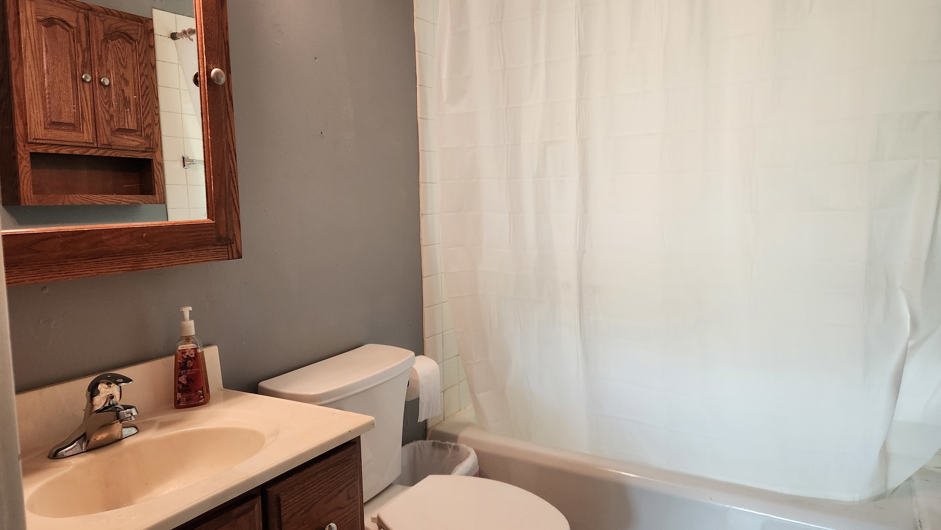 228 Church Street #1, Wauconda, IL 60084