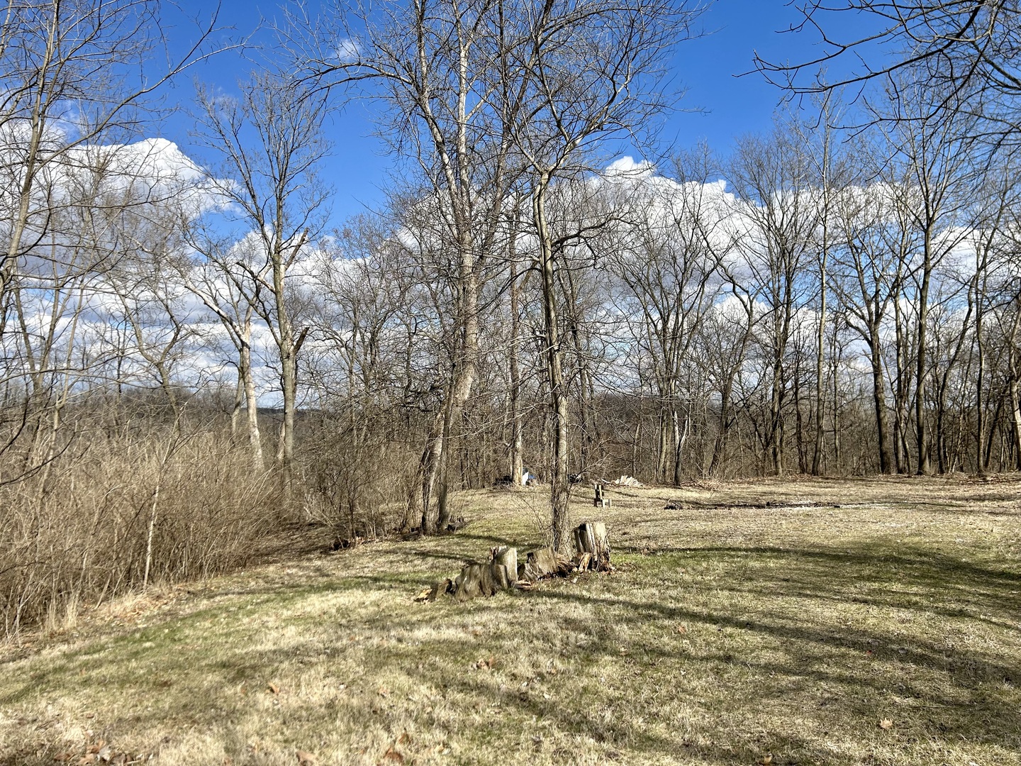 Lot 5 Thirty Foot Trail Road, Oglesby, IL 61348