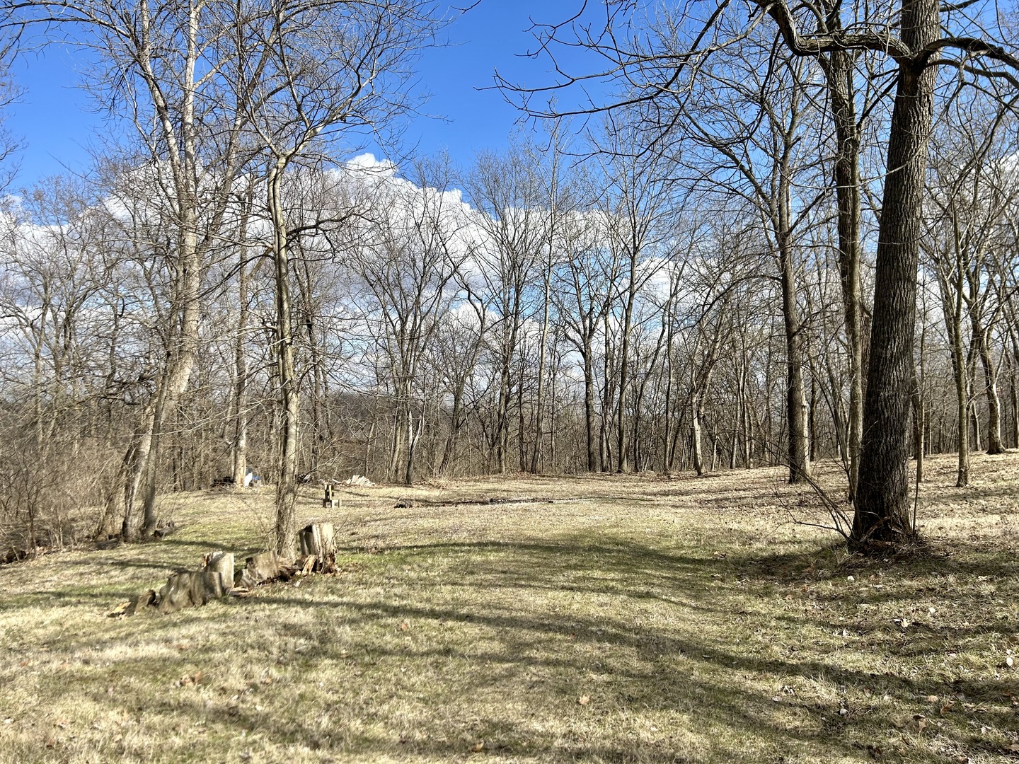 Lot 5 Thirty Foot Trail Road, Oglesby, IL 61348