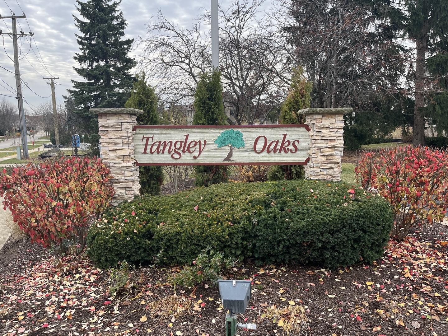 3048 Tangley Oaks Trail, Lisle, IL 60532