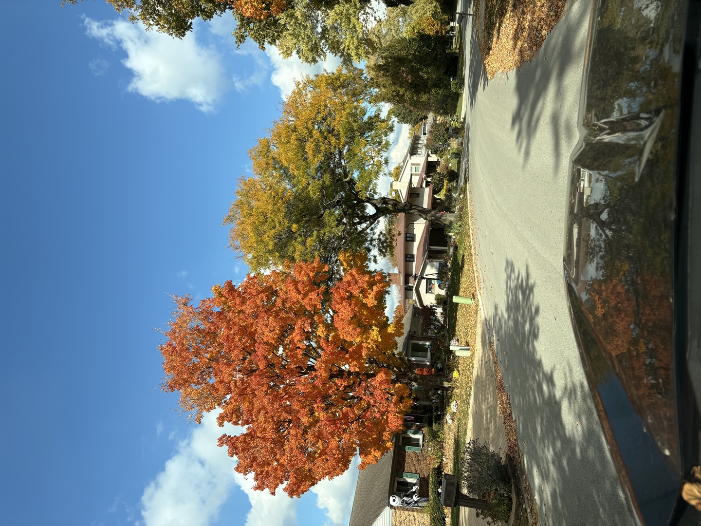 2830 S Briarwood Drive, Arlington Heights, IL 60005