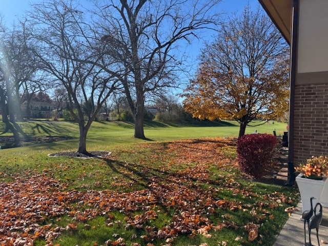 7625 W Arquilla Drive #1A, Palos Heights, IL 60463