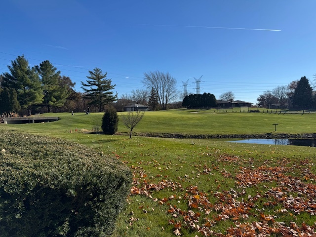 7625 W Arquilla Drive #1A, Palos Heights, IL 60463