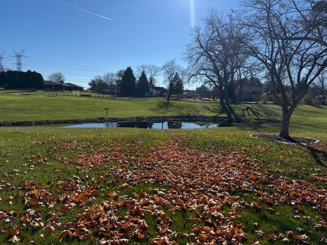 7625 W Arquilla Drive #1A, Palos Heights, IL 60463