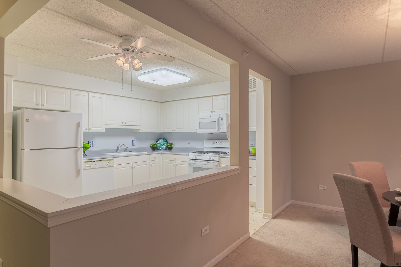 6801 N Milwaukee Avenue #202, Niles, IL 60714