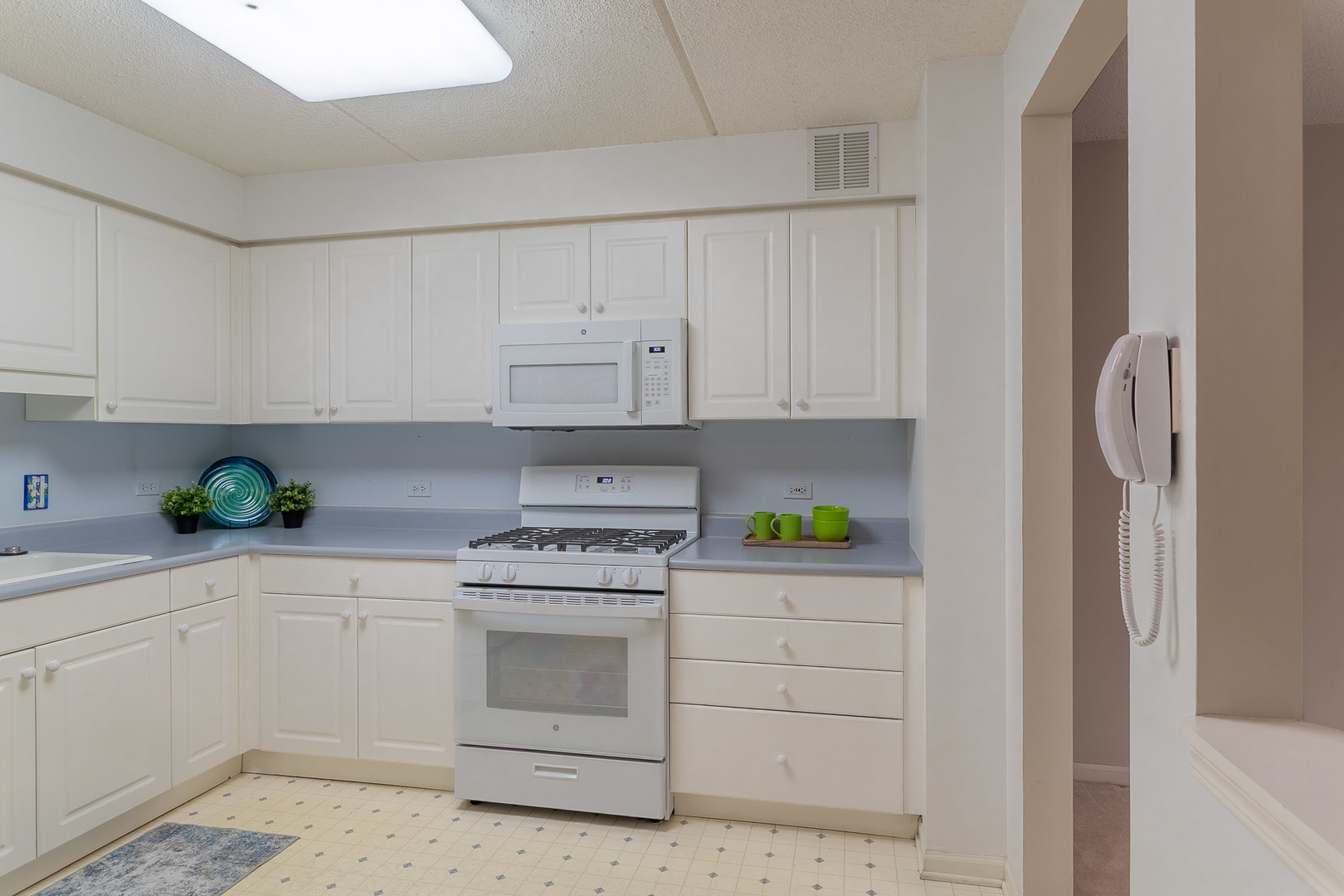 6801 N Milwaukee Avenue #202, Niles, IL 60714