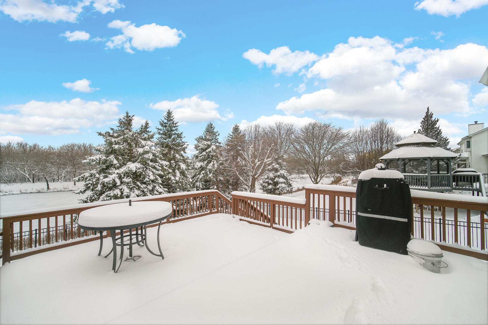 1008 Asbury Drive, Aurora, IL 60502