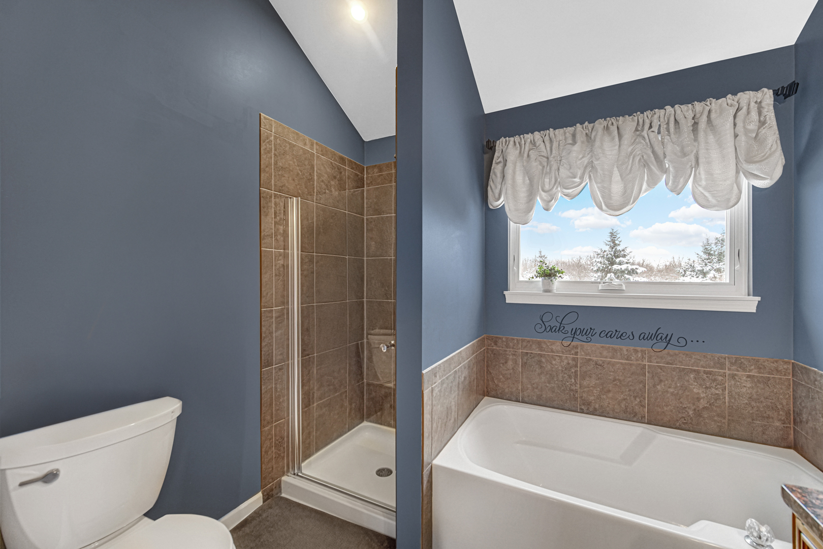 1008 Asbury Drive, Aurora, IL 60502