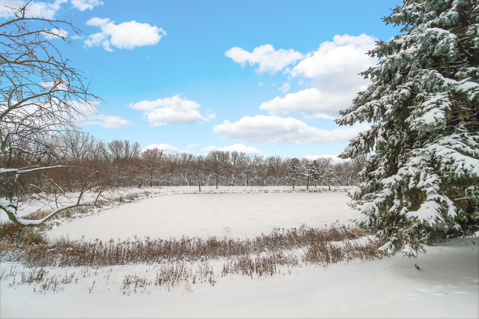 1008 Asbury Drive, Aurora, IL 60502