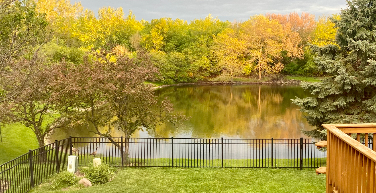 1008 Asbury Drive, Aurora, IL 60502