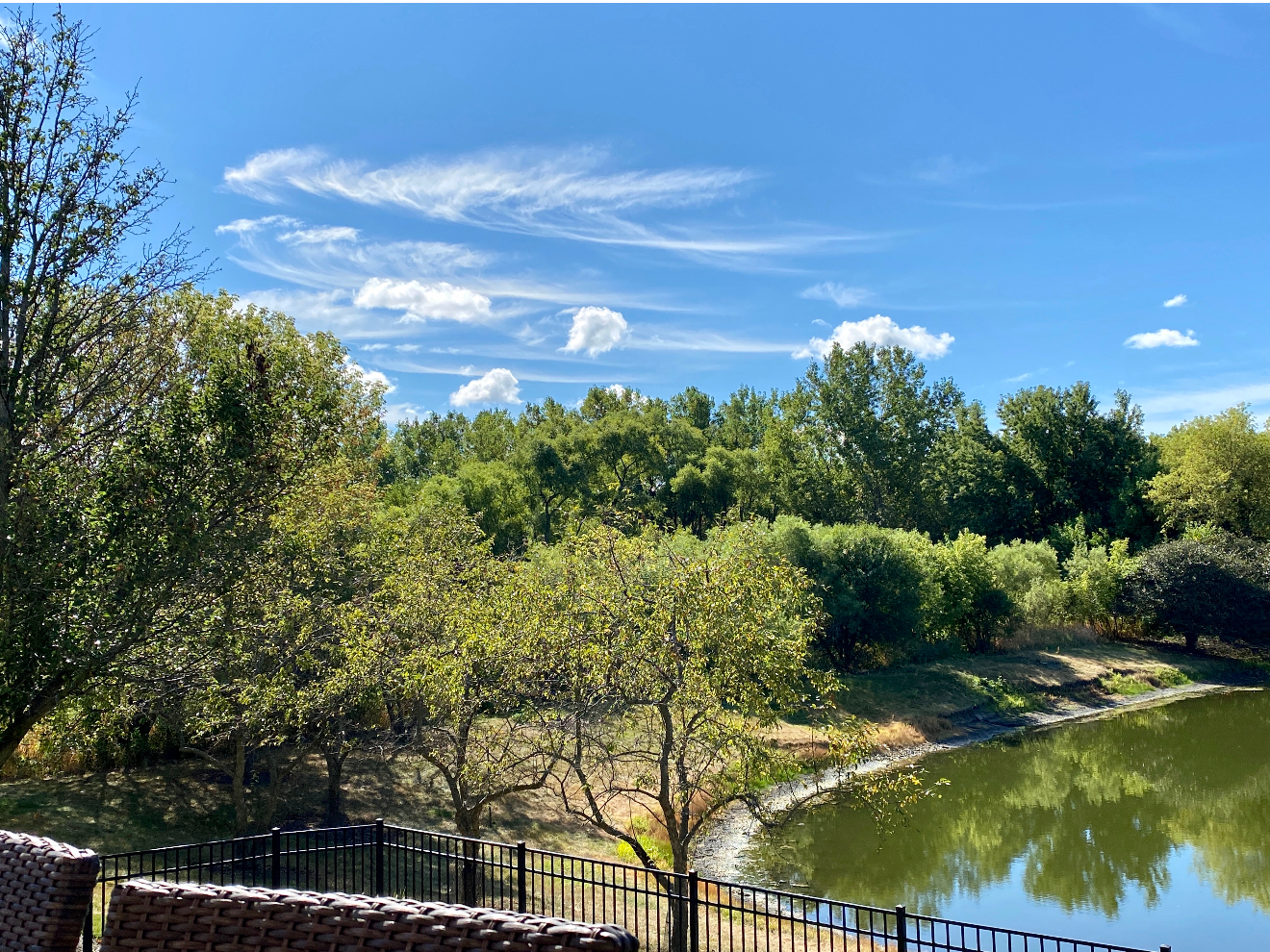 1008 Asbury Drive, Aurora, IL 60502