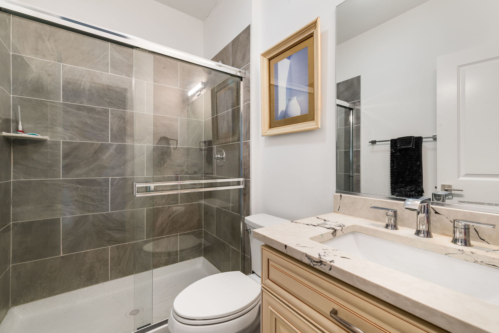 580 Francesca Lane, Roselle, IL 60172