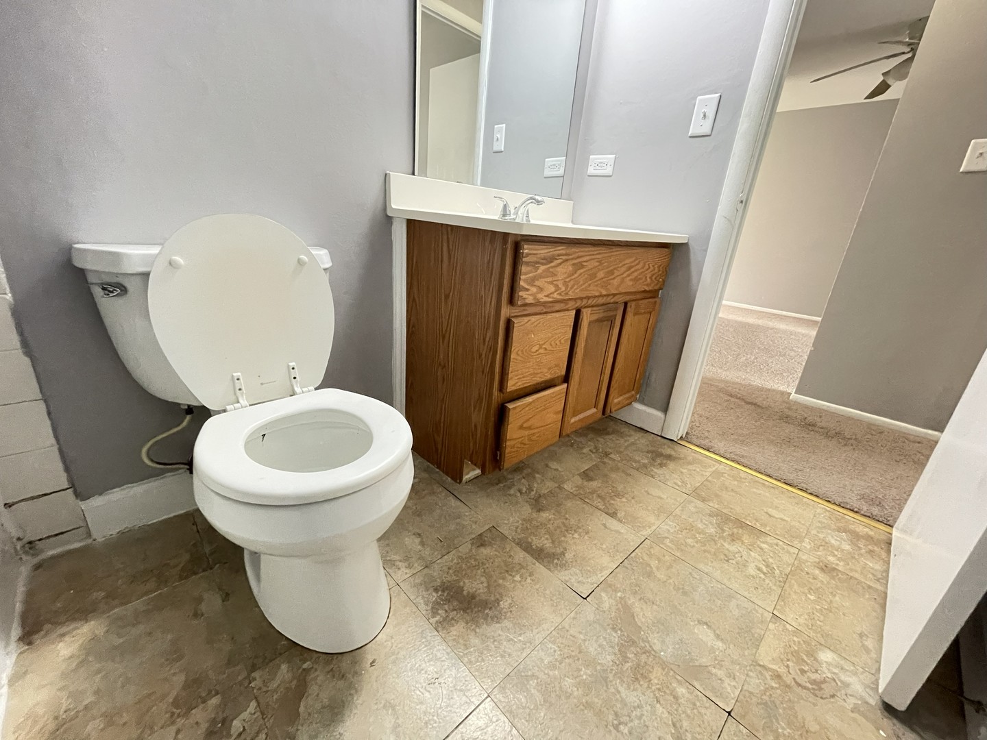 535 Brookside Drive #F, Westmont, IL 60559