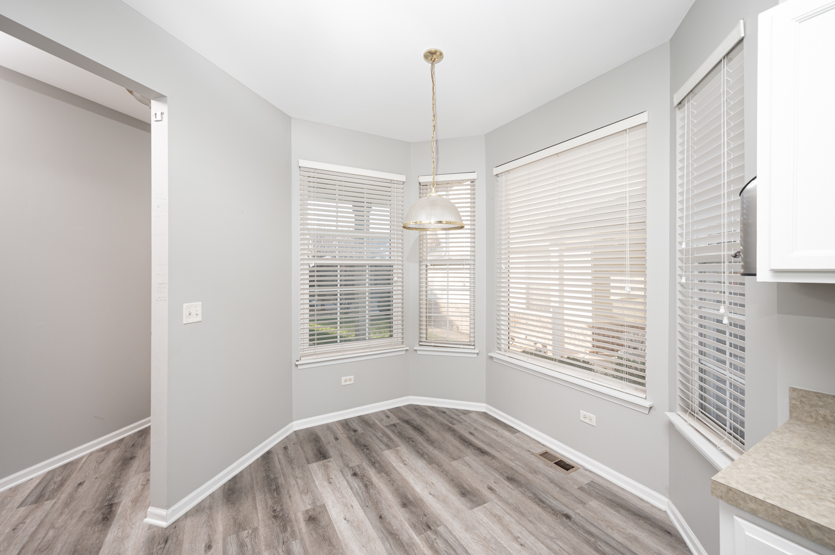 511 N Maggie Lane #511, Romeoville, IL 60446