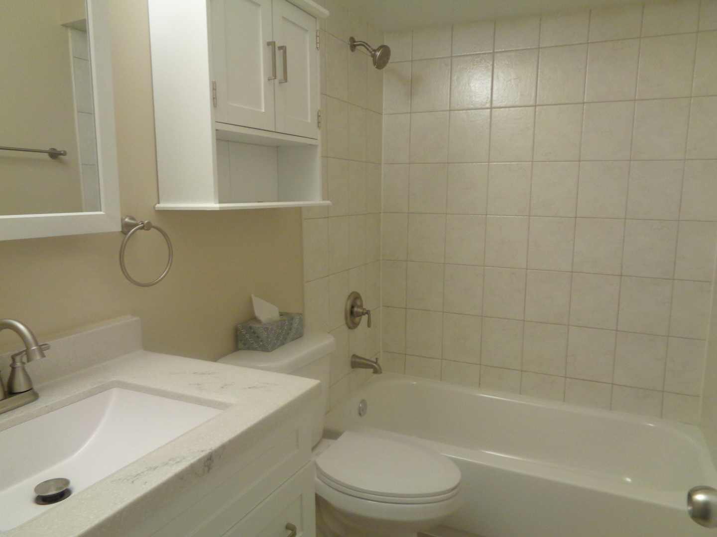 10442 S BROOKS Lane #C1, Chicago Ridge, IL 60415