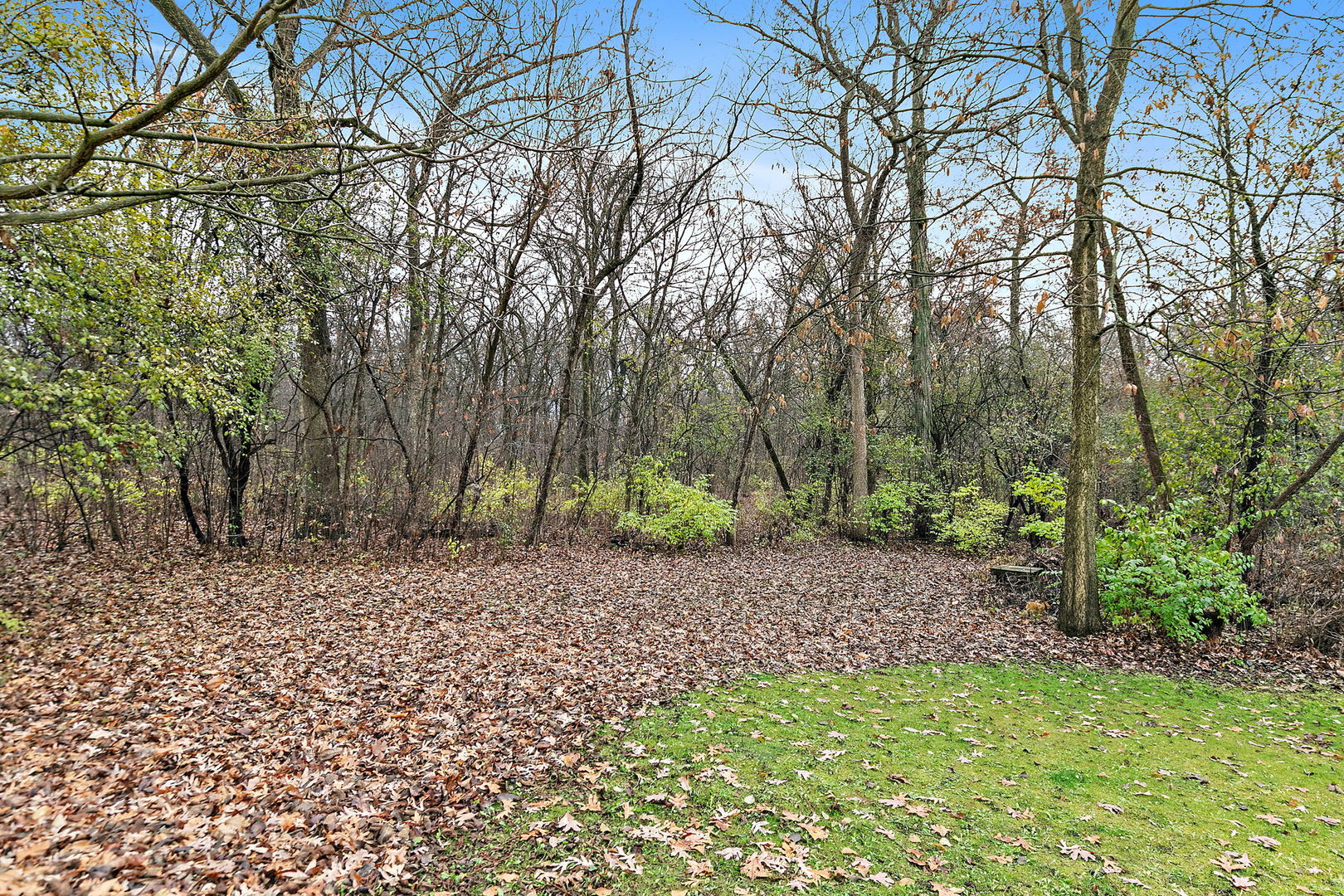 1313 Woods Road, Belvidere, IL 61008