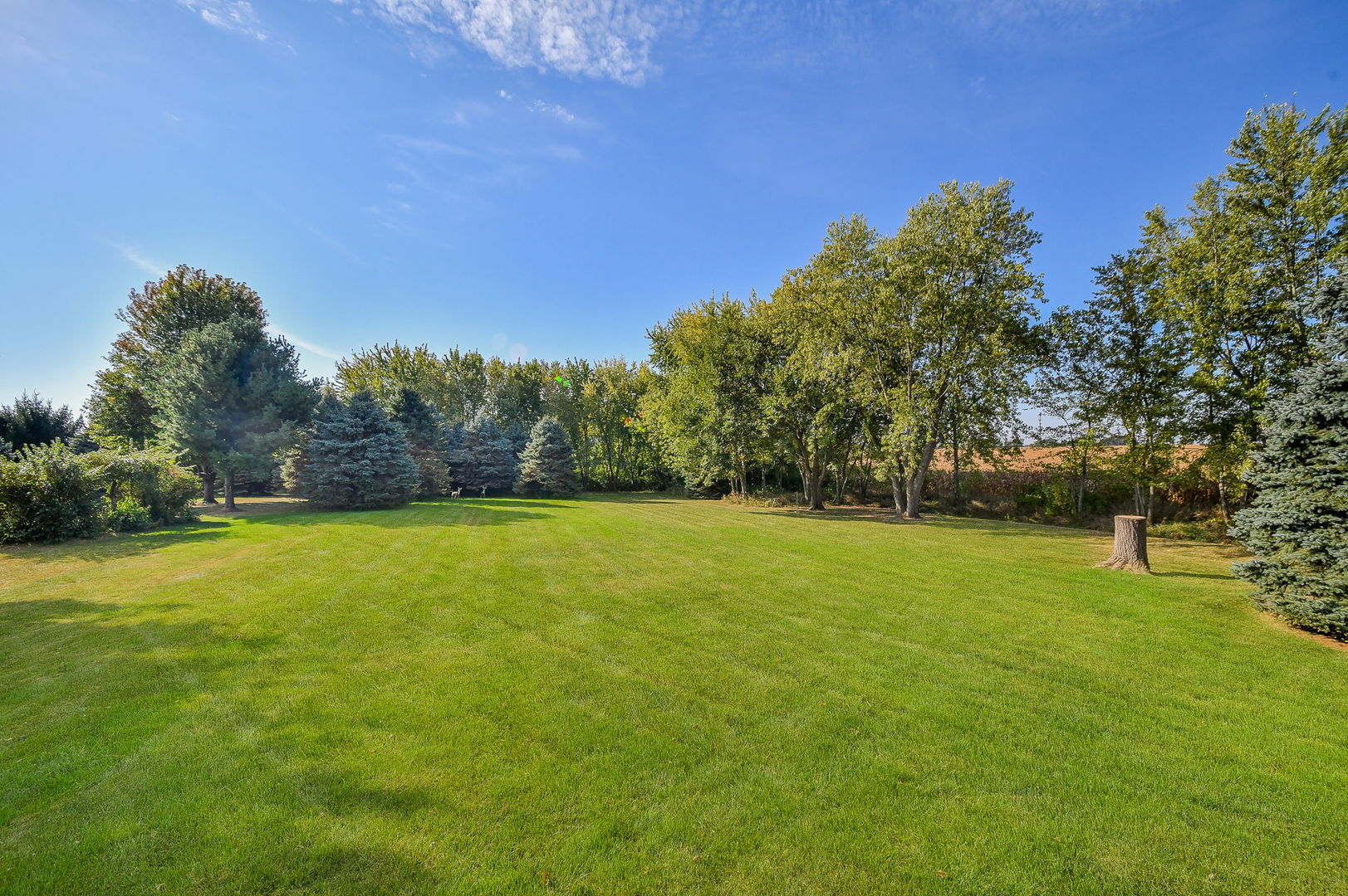 2917 Prairie Road, Belvidere, IL 61008