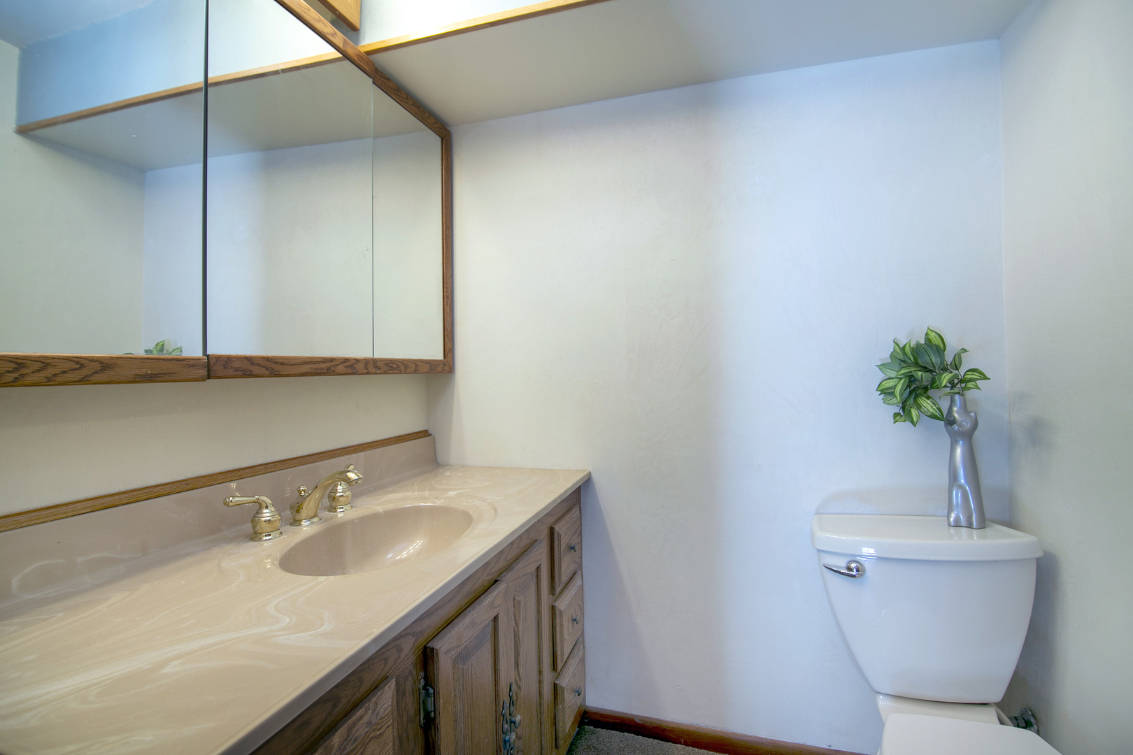 131 Monticello Circle, Bolingbrook, IL 60440