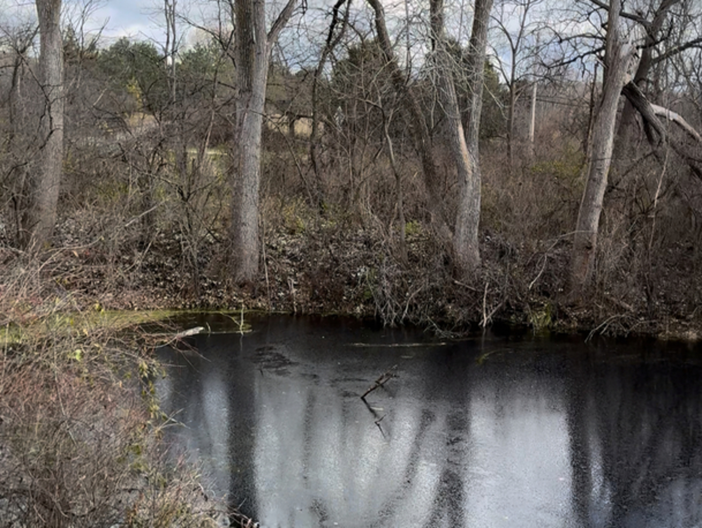 980 Dakota Drive, Woodstock, IL 60098