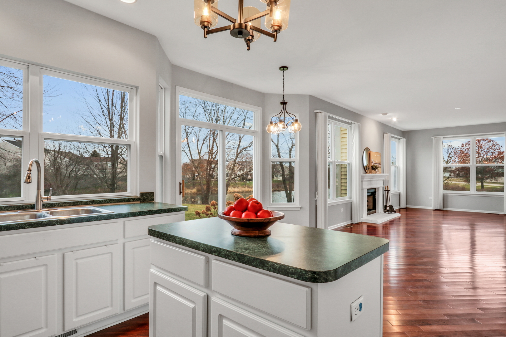 1948 Lily Lane, Round Lake, IL 60073