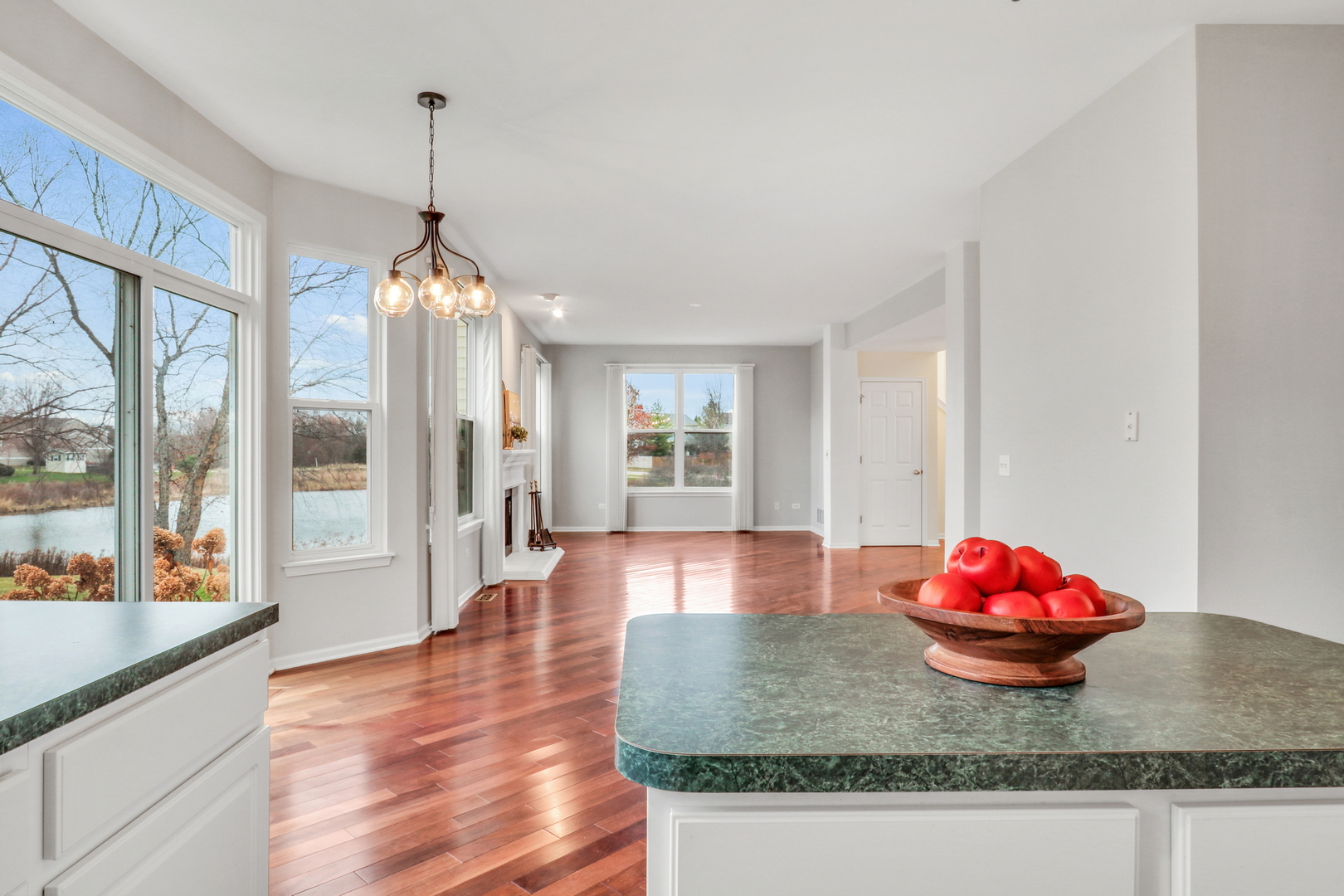 1948 Lily Lane, Round Lake, IL 60073