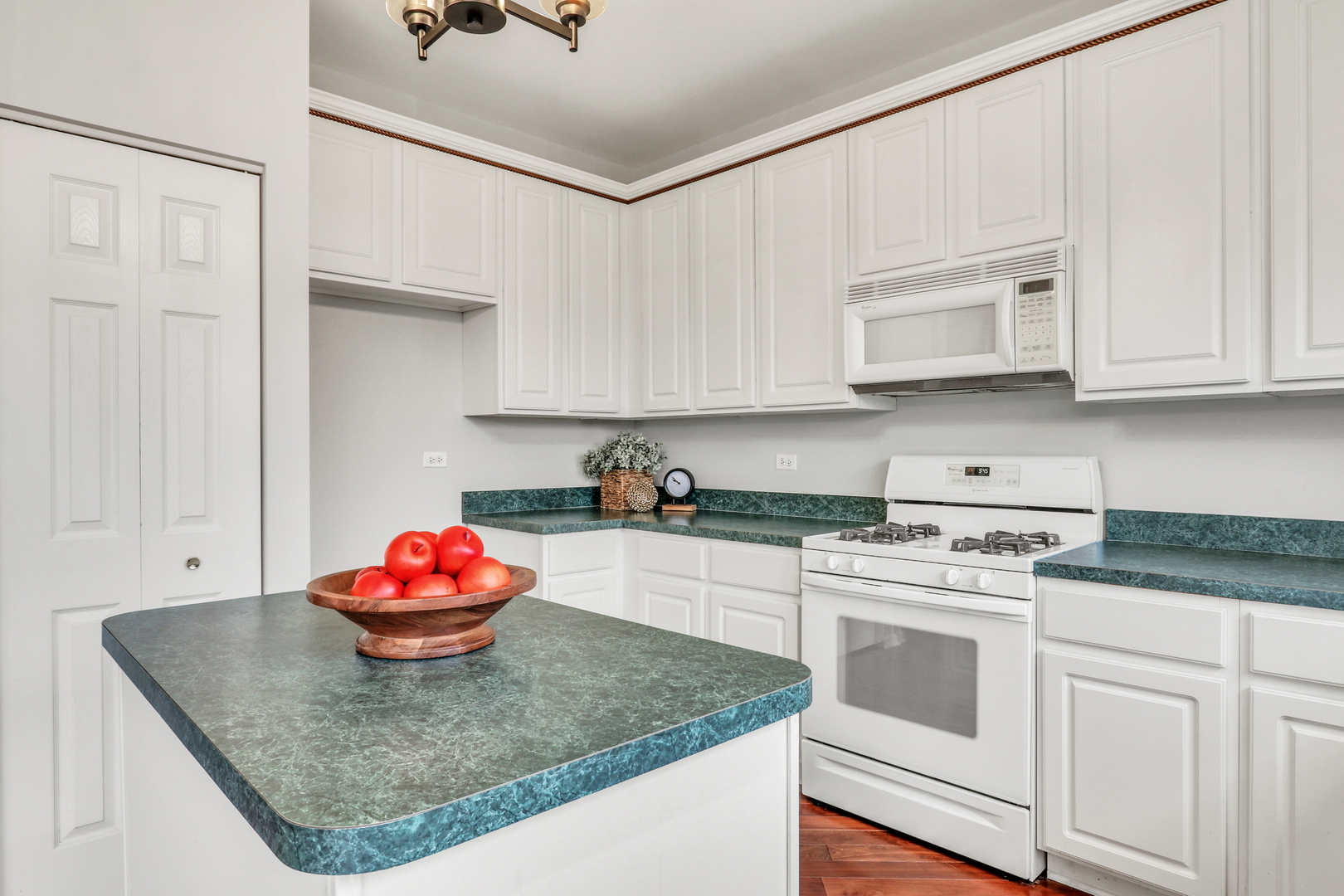 1948 Lily Lane, Round Lake, IL 60073