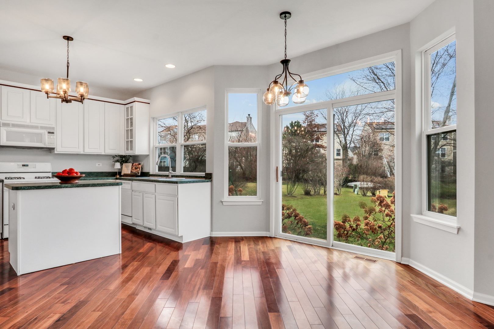 1948 Lily Lane, Round Lake, IL 60073