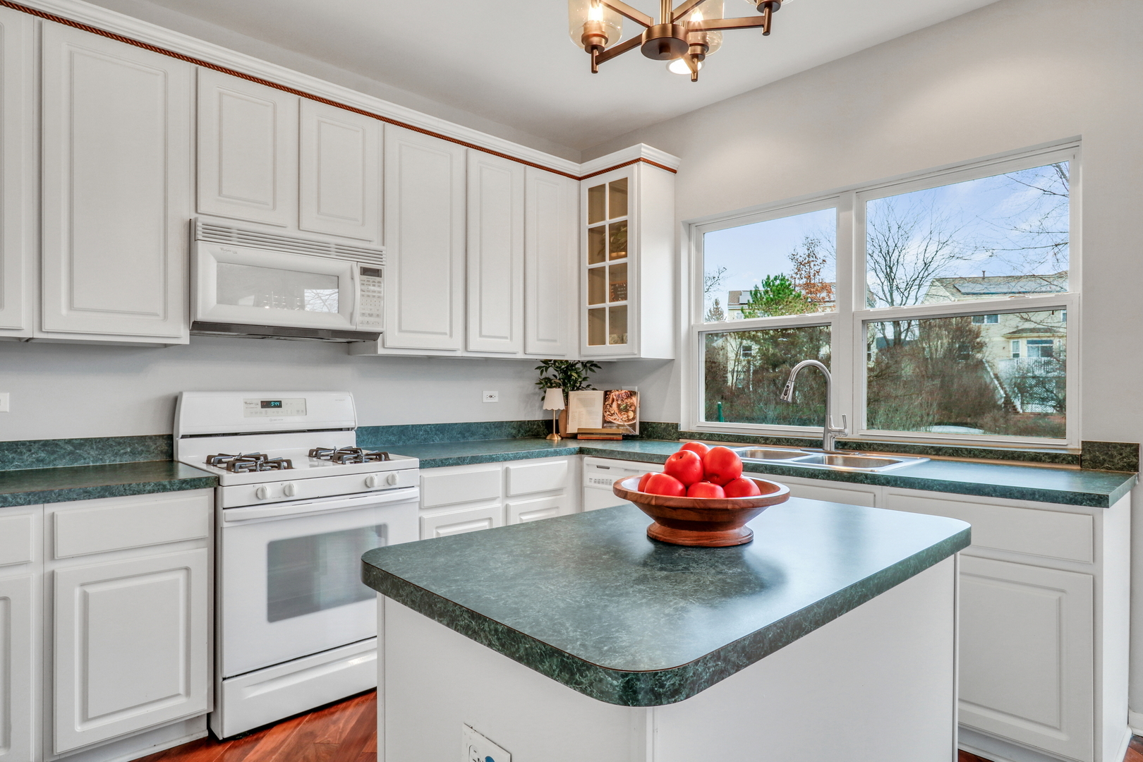 1948 Lily Lane, Round Lake, IL 60073