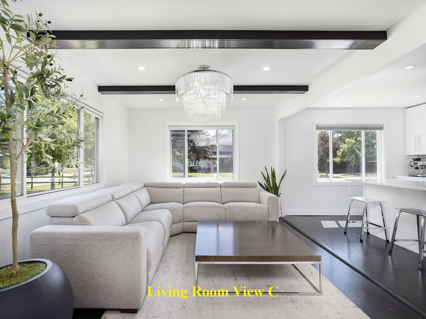 1520 Magnolia Street, Glenview, IL 60025