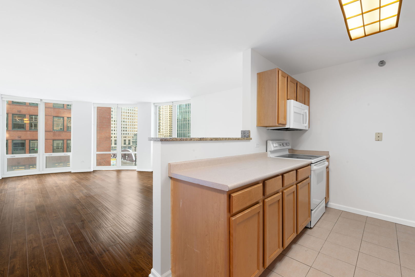 345 N LaSalle Street #407, Chicago, IL 60654