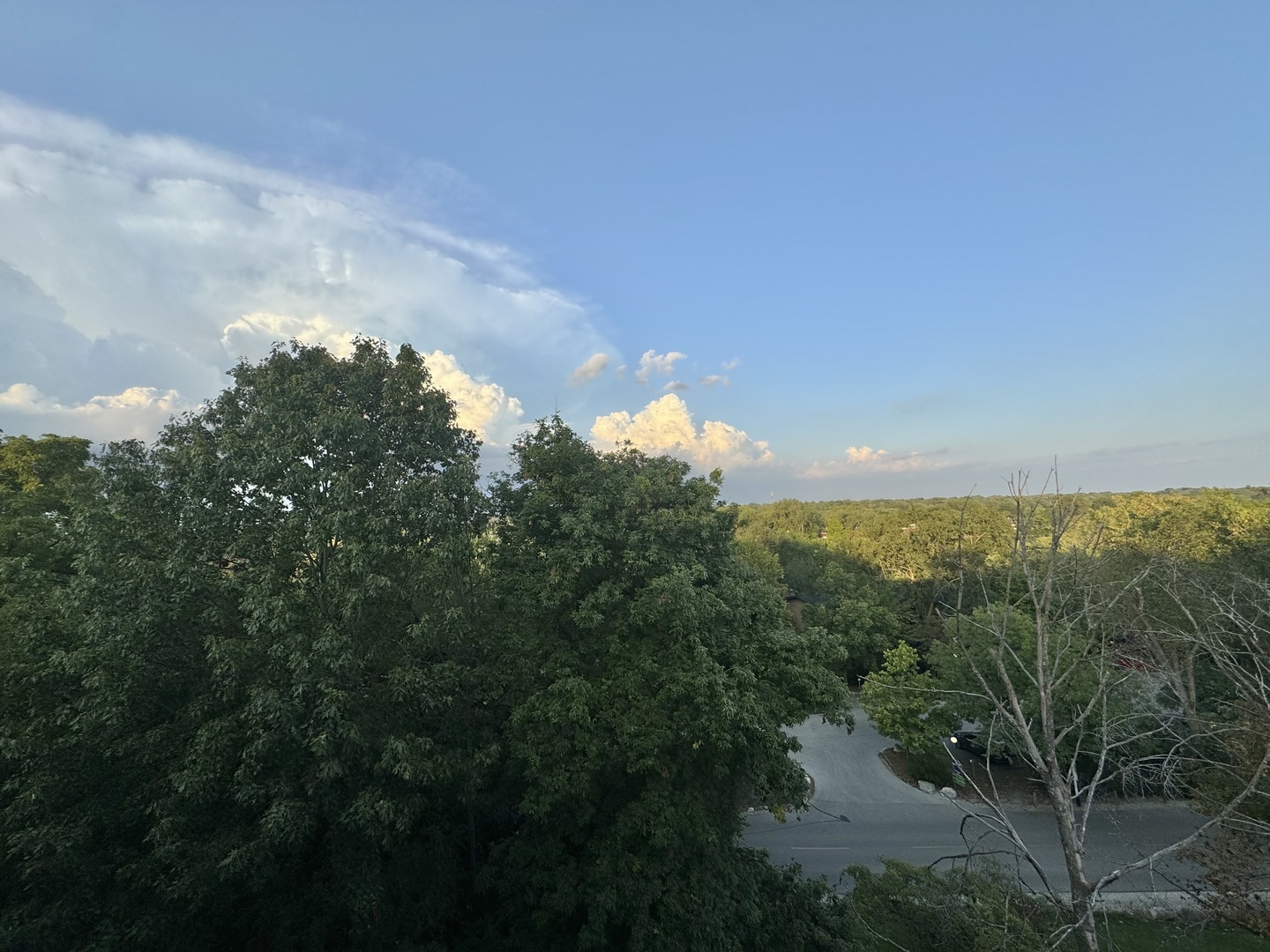 5600 Hillcrest Lane #3D, Lisle, IL 60532