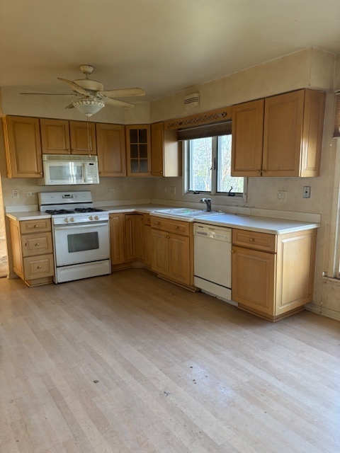 1134 Jamestown Ct Court, Schaumburg, IL 60193