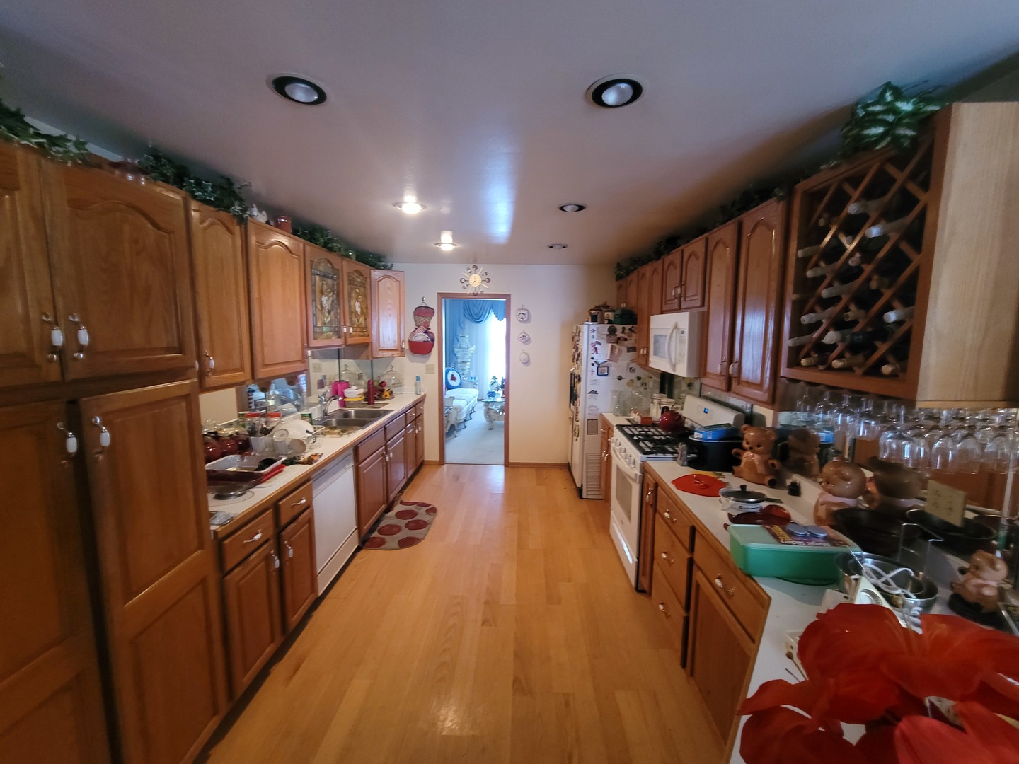 3246 E Forestview Trail, Crete, IL 60417