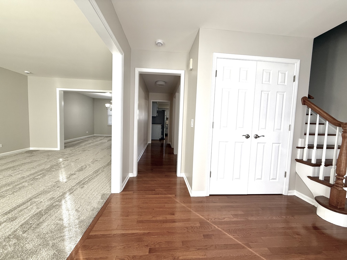 1209 W Bauer Road, Naperville, IL 60563