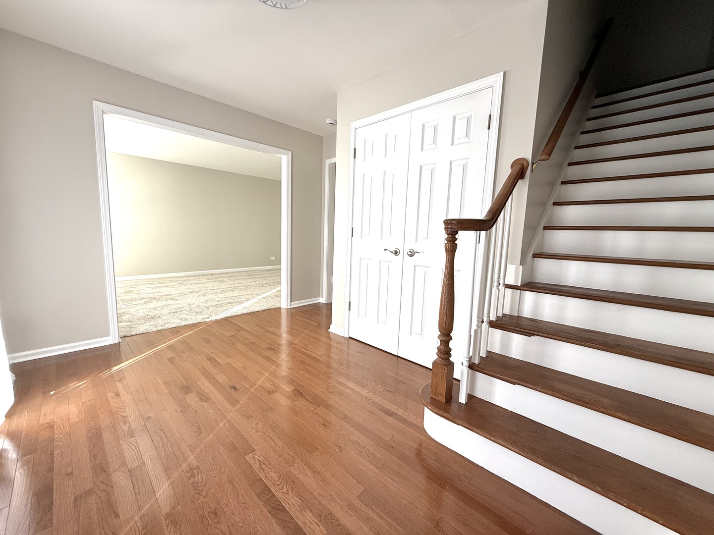 1209 W Bauer Road, Naperville, IL 60563