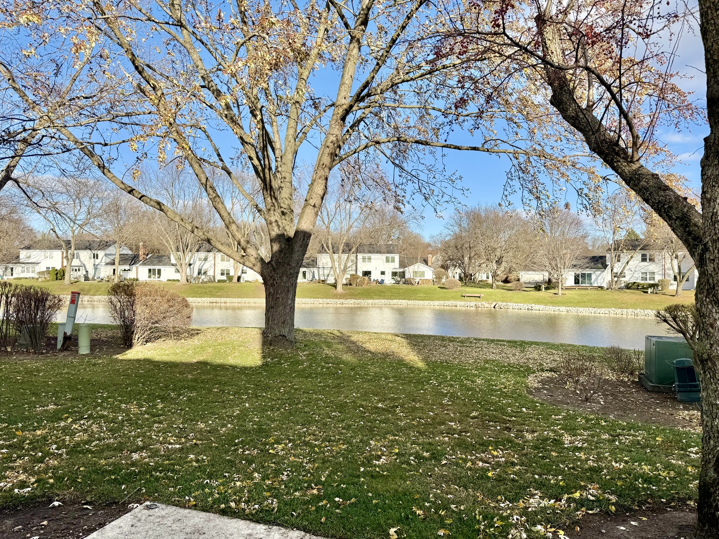 1209 W Bauer Road, Naperville, IL 60563