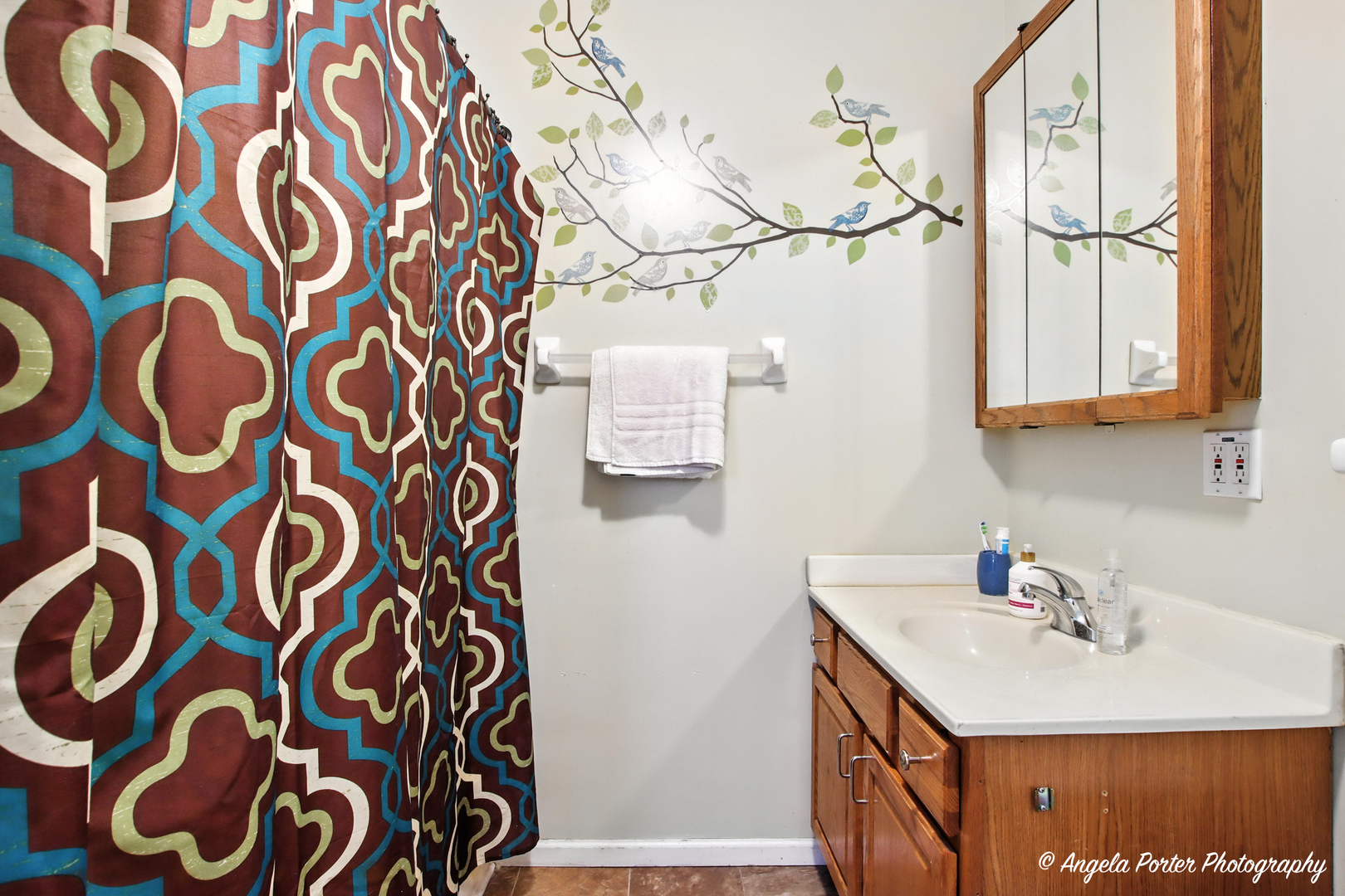 42517 N Poplar Street, Antioch, IL 60002