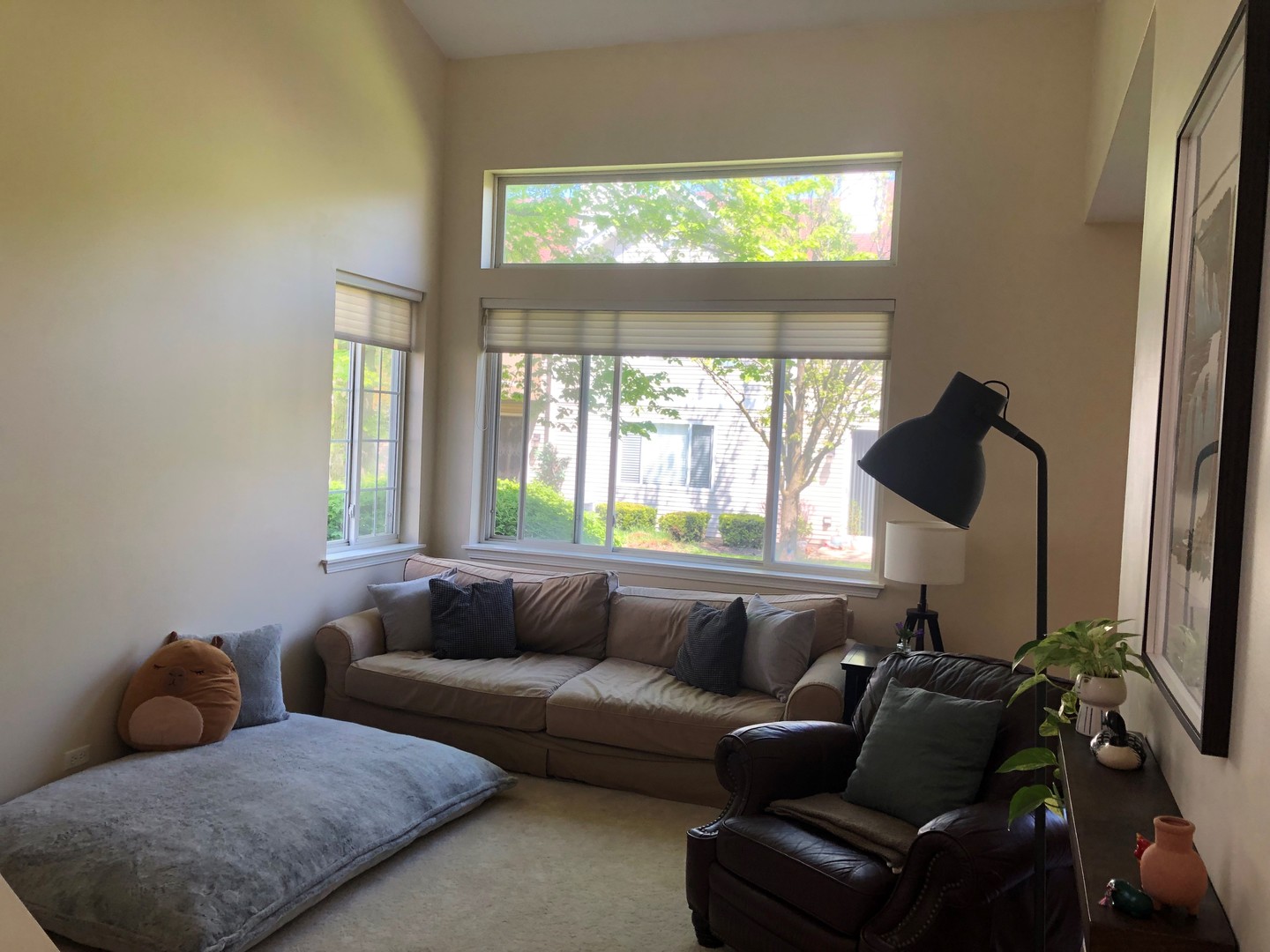 2911 Stockton Court, Naperville, IL 60564